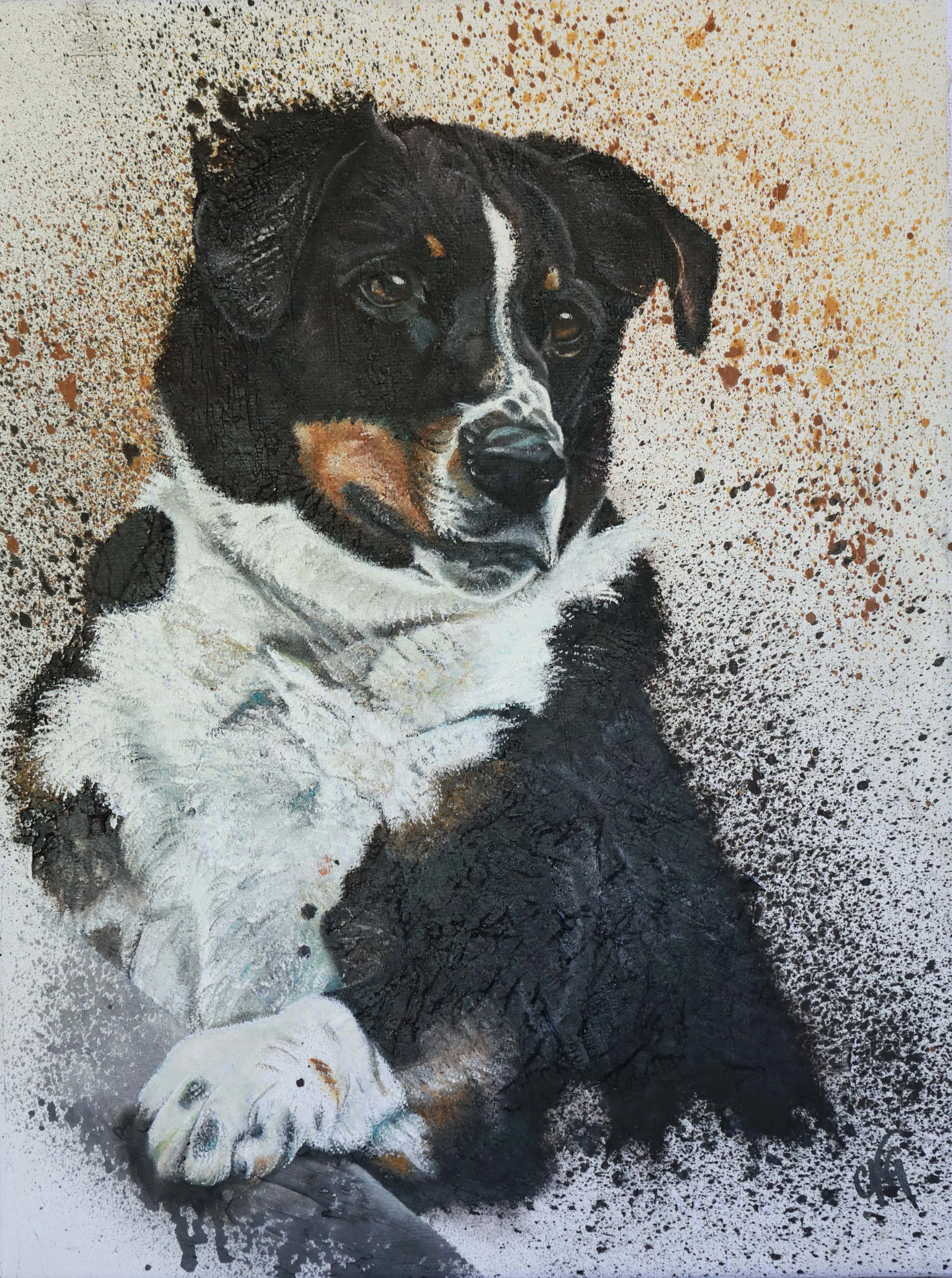 Shira, 50 x 40 cm