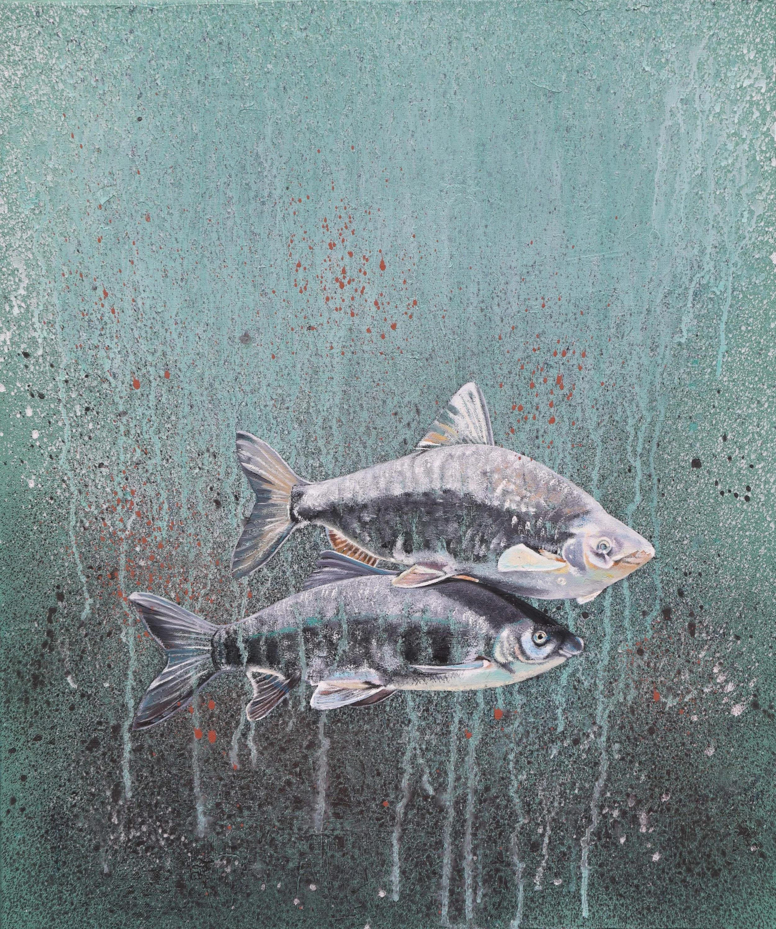 Ein Fischpärchen übereinander schwimmend auf blauem Hintergrund