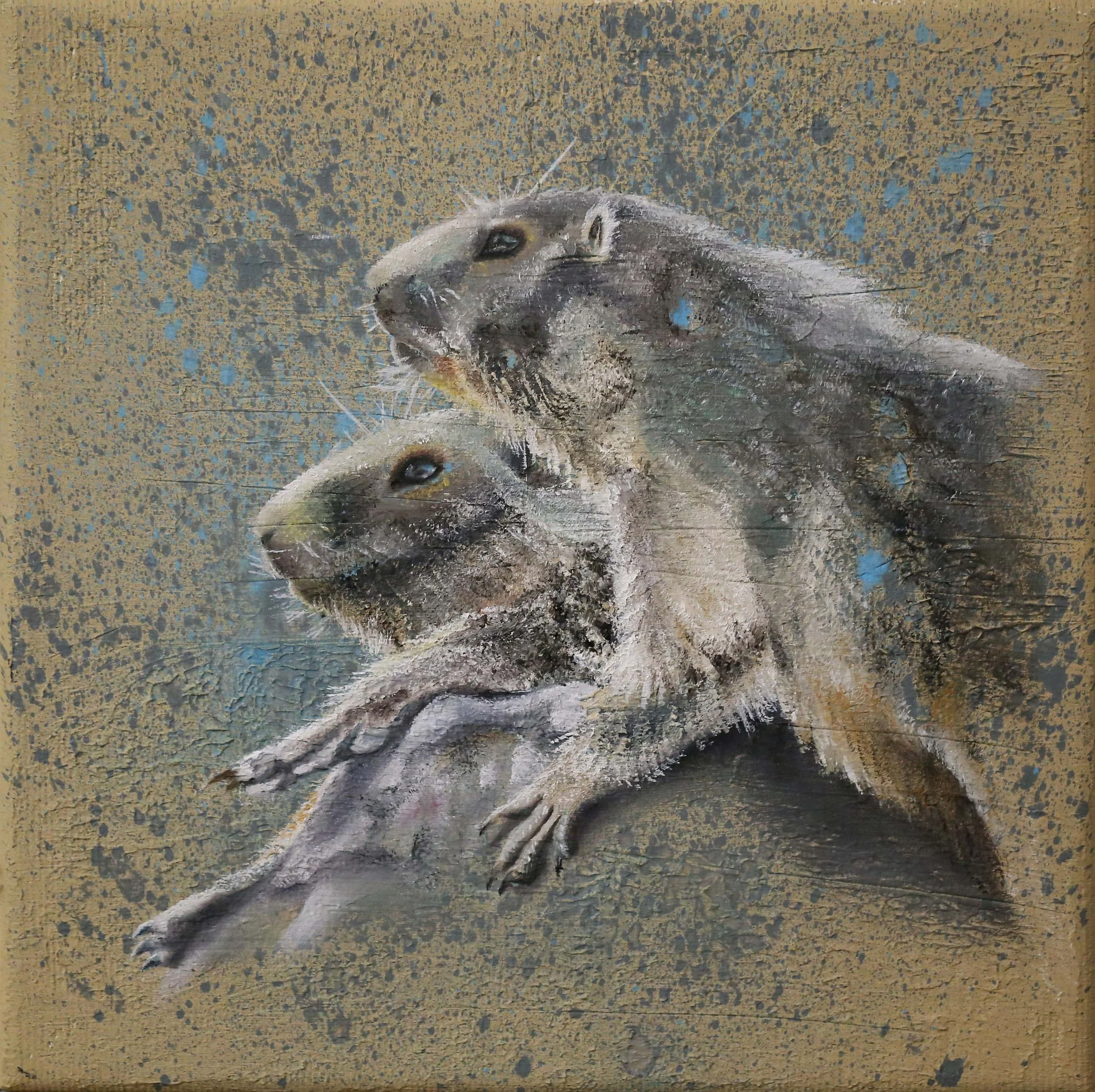 Murmeltiere, Murmeli