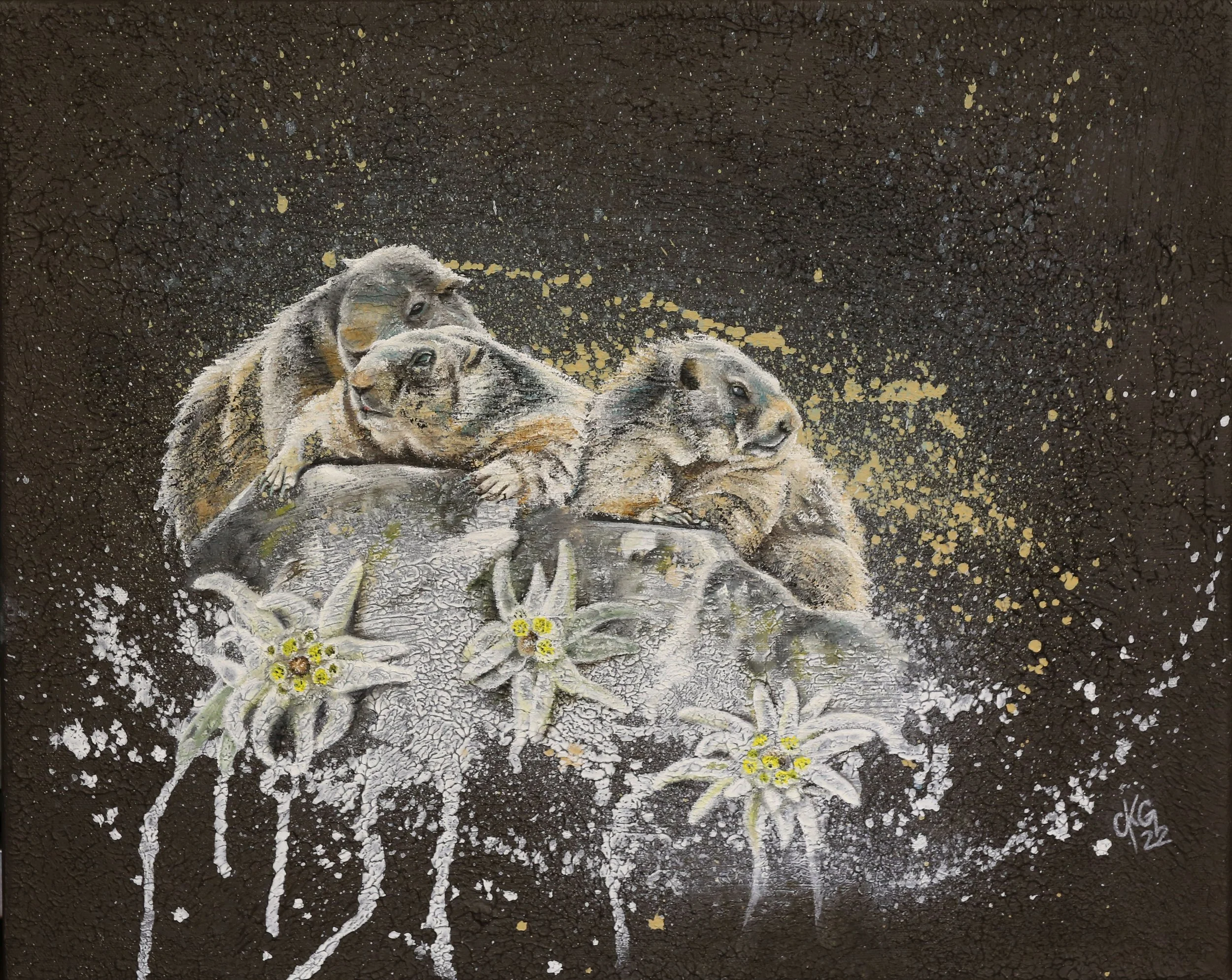 Drei junge Murmeltiere auf einem Stein am Spielen. Unten am Stein blühen Edelweiss