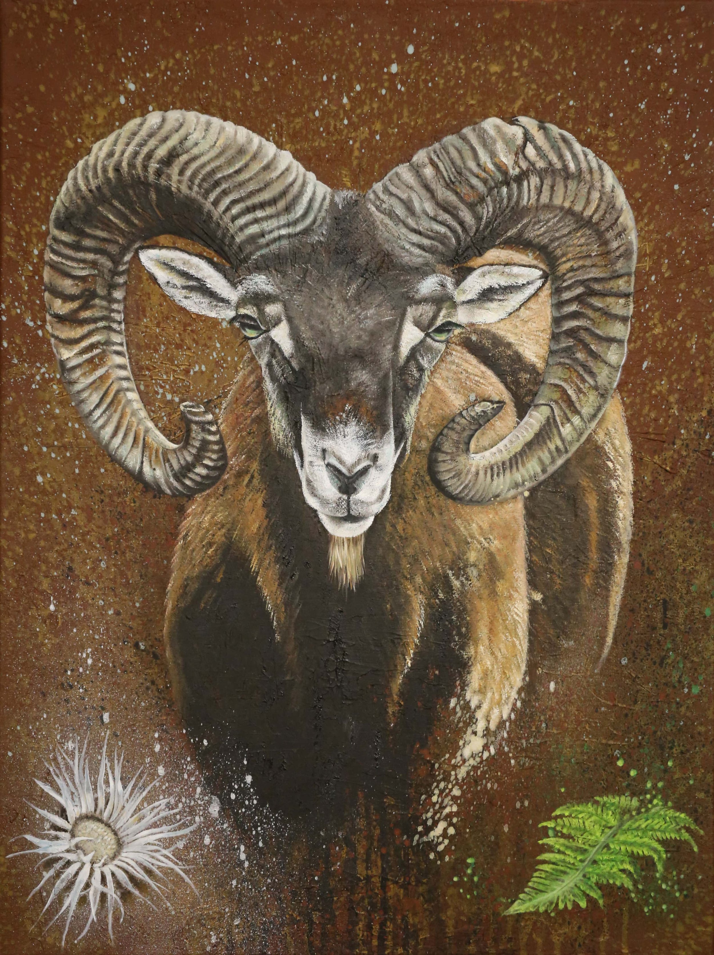 Mufflon Widder mit prächtigem Gehörn