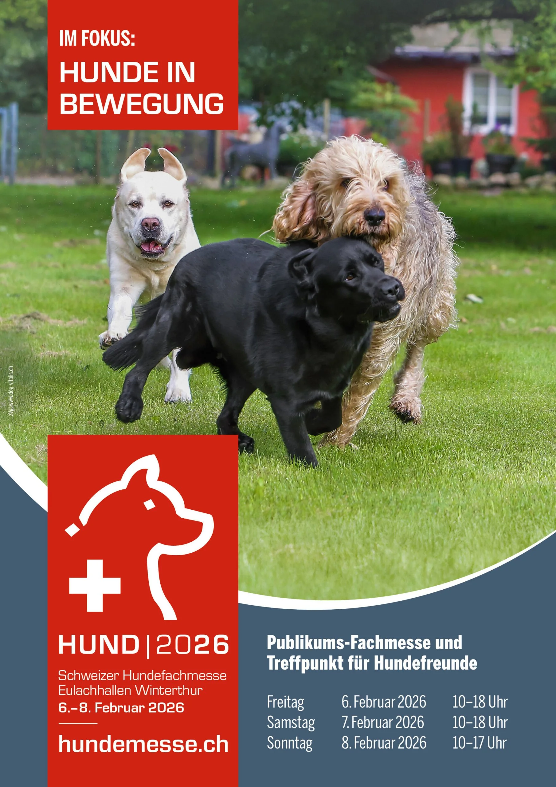 Plakat für die Schweizer Hundefachmesse 2026, mit einem Foto von drei Hunden auf grünem Rasen vor einem Haus, inklusive Veranstaltungstermin im Februar 2026.