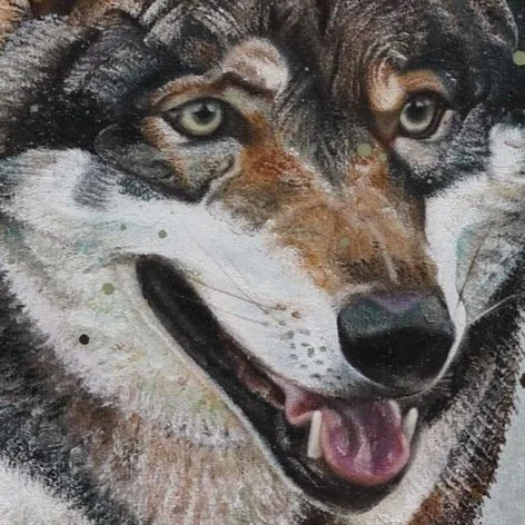 Nahaufnahme eines Hundes mit grauen Augen und braun-schwarzem Fell, lächelnd.