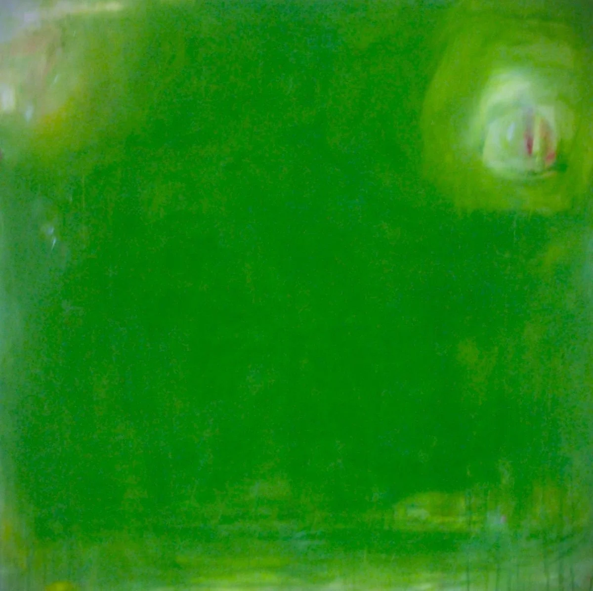 Abstrakte Blumen in Acrly