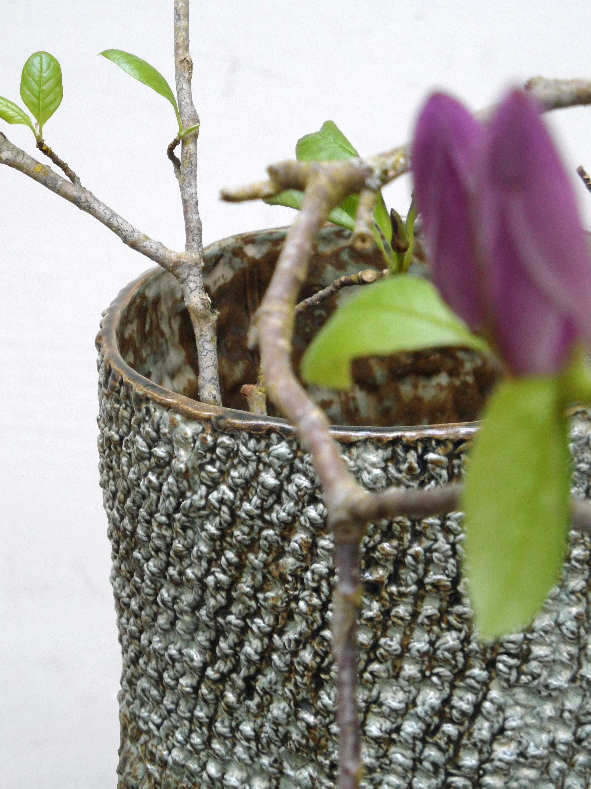 Une branche de cerisier dans un vase de Chloé Hercé, sur fond blanc.
