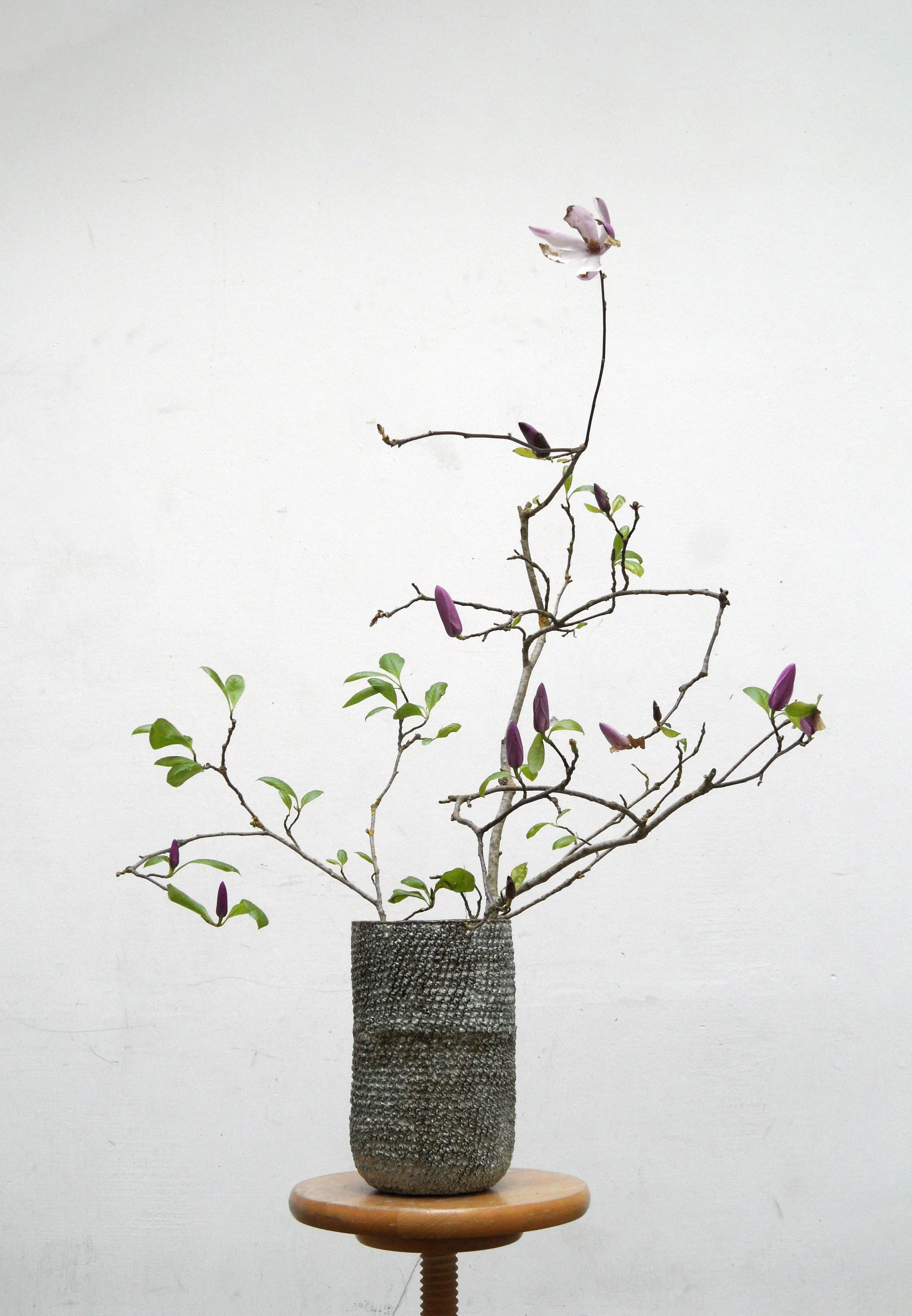 Un arrangement floral minimaliste dans un vase de Chloé Hercé en céramique texturée de couleur grise, placé sur une table en bois avec un support en bois, dans son atelier.