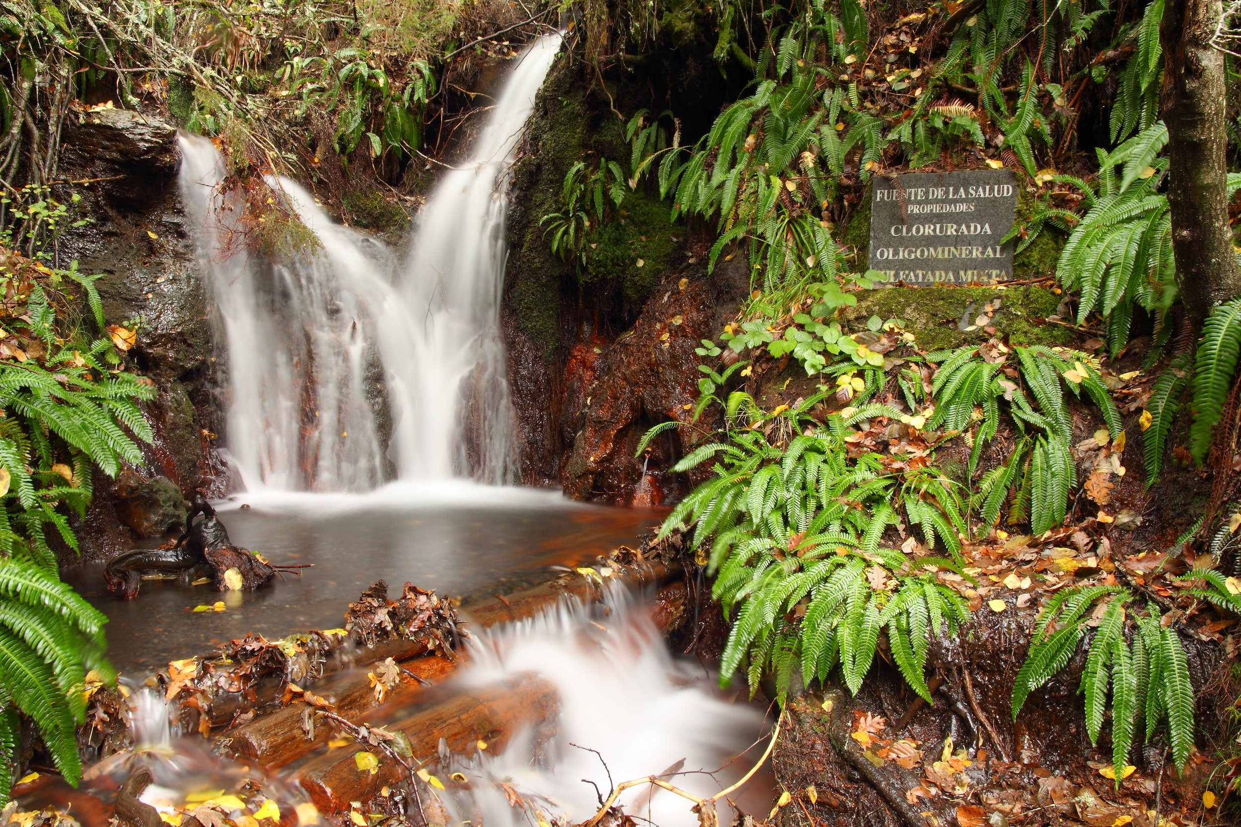 Pequeña cascada en un entorno selvático con muchas plantas verdes y ramas caídas, hay una piedra con un cartel que dice: 'Fue fuente de la salud, propiedades clorurada, oligomineral, filtrada menta'.