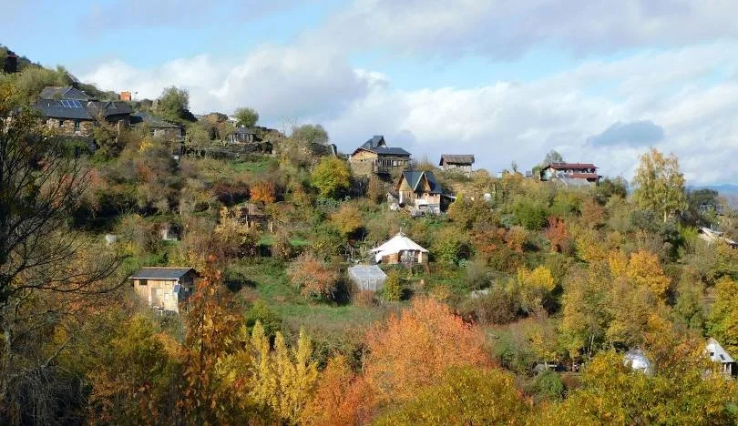 Paisaje de una colina con casas dispersas y árboles con hojas otoñales.