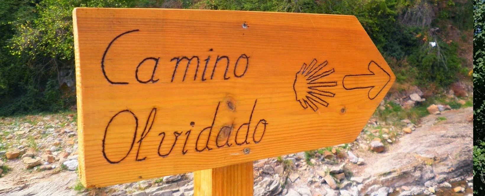 Señal de madera que dice 'Camino Olvidado' con una flecha y símbolo de caracol, en un entorno natural con piedras y vegetación.