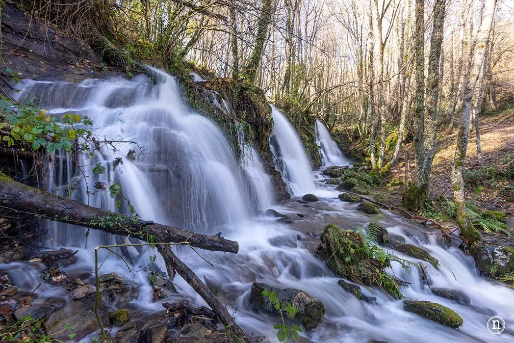 Una cascada en el Hayedo de Busmayor con árboles y piedras, con agua fluyendo entre ellos.
