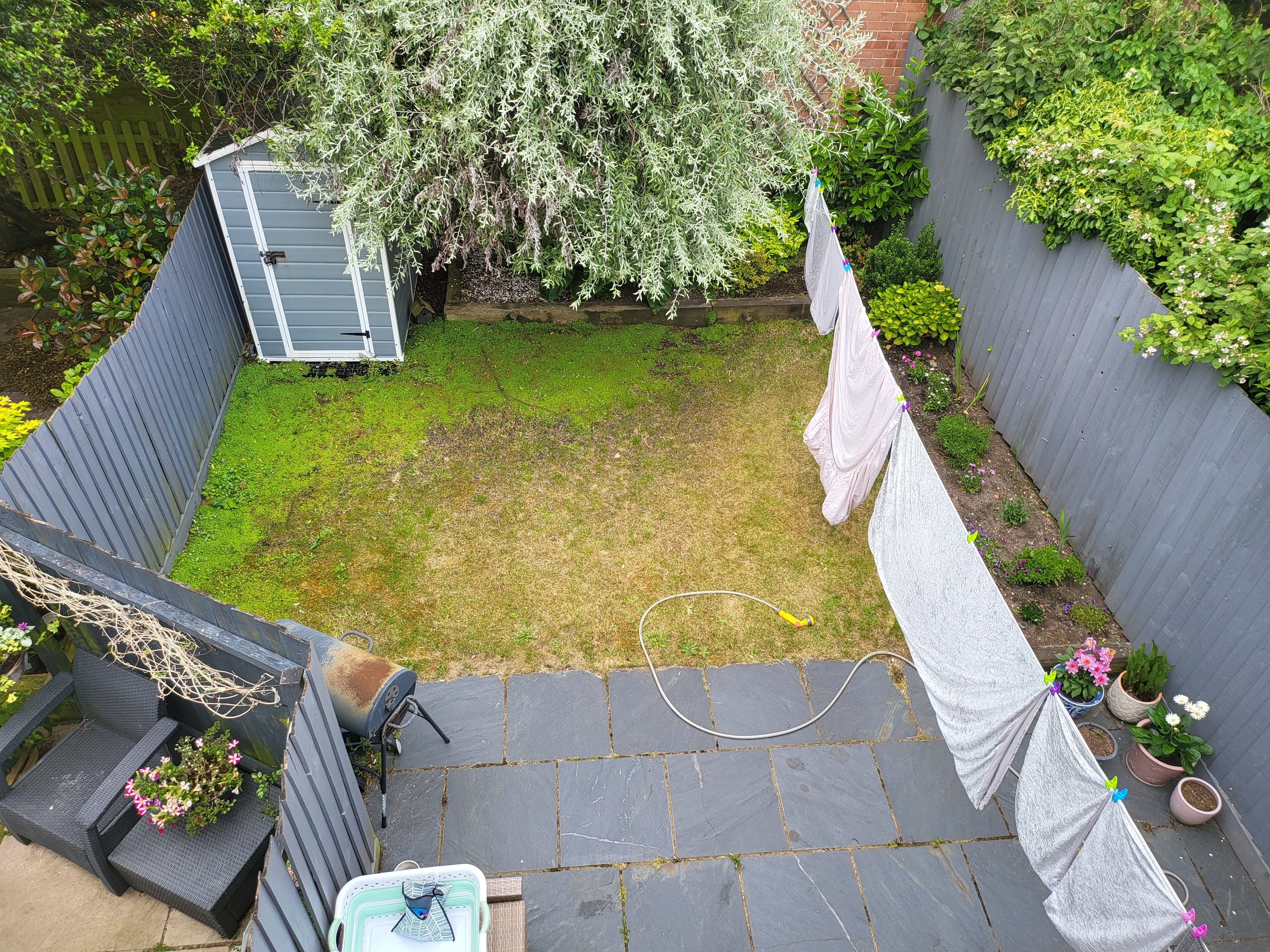 Before ProtectaPet Install