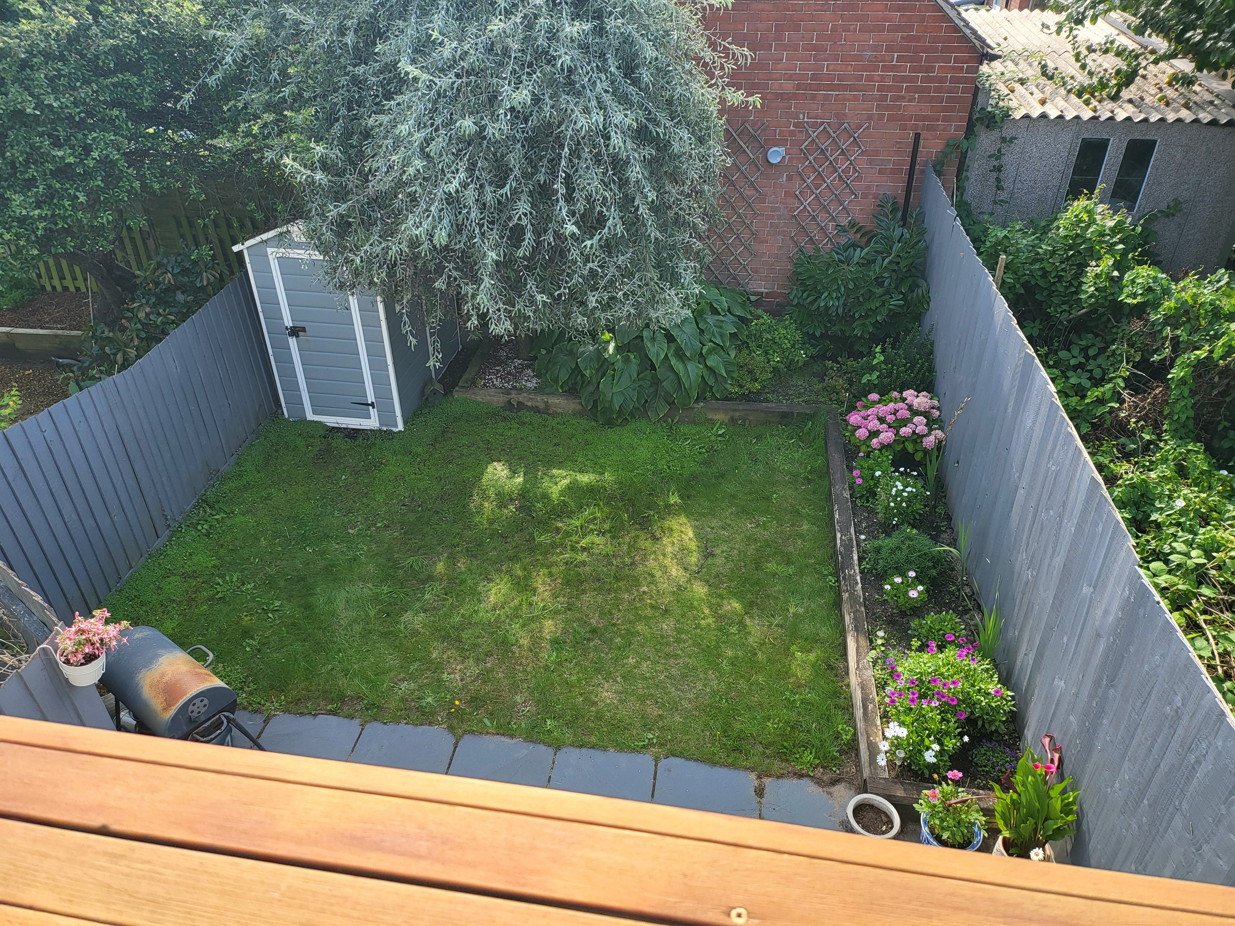 Before ProtectaPet Install