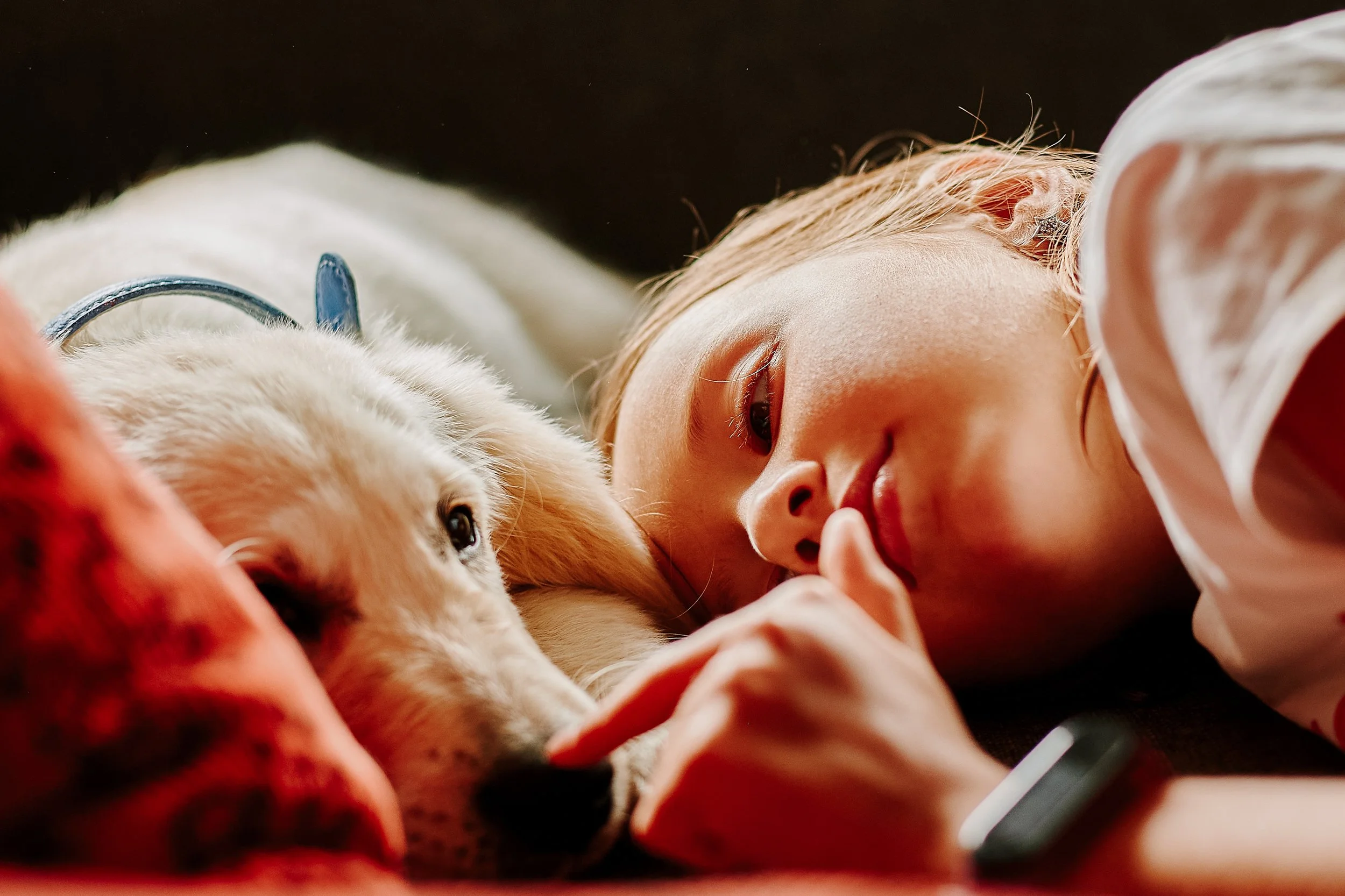 Child with dog  (1).jpg