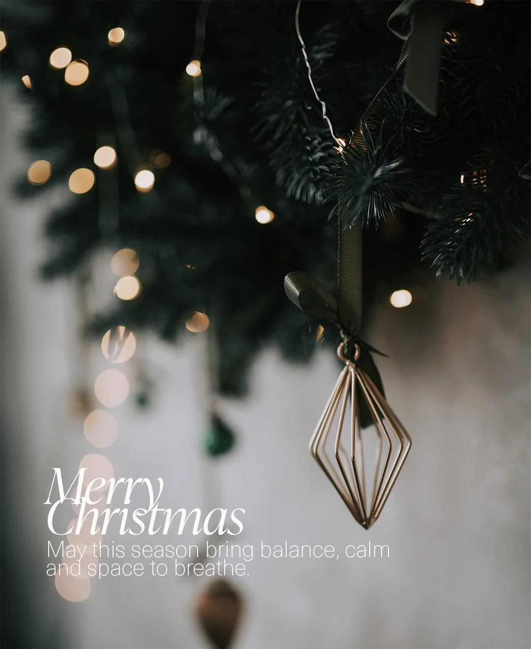 A soft Christmas to you.� 
Gentle moments, warm light, quiet presence.
_________________________
#softchristmas #thenuju #holidaycalm #mindfulseason