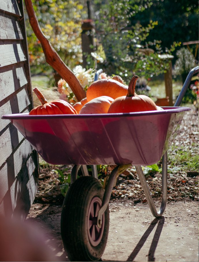 Little Pink Garden Pumpkin Workshop-12.jpg