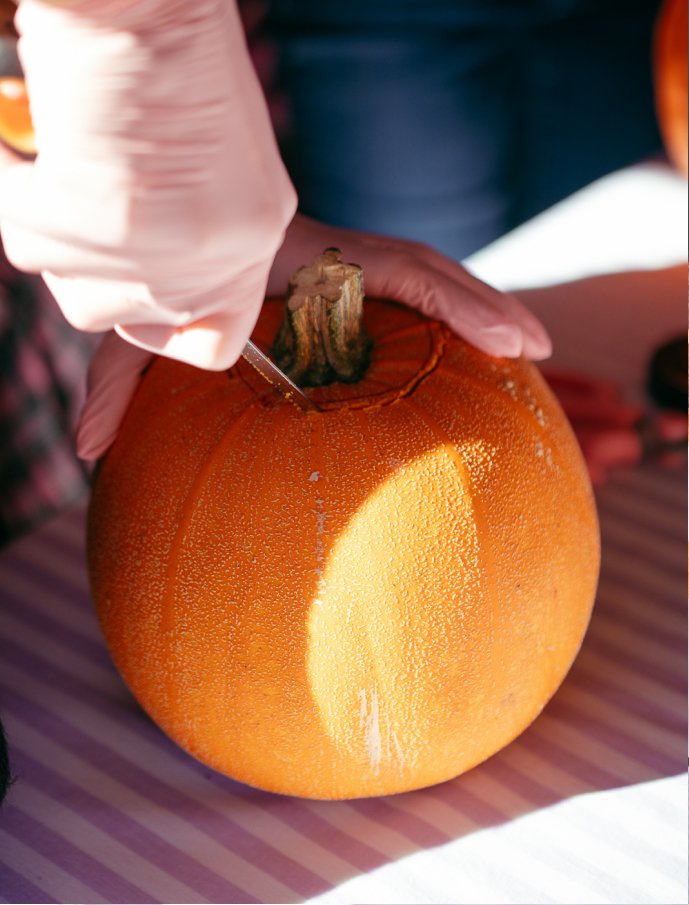 Little Pink Garden Pumpkin Workshop-17.jpg