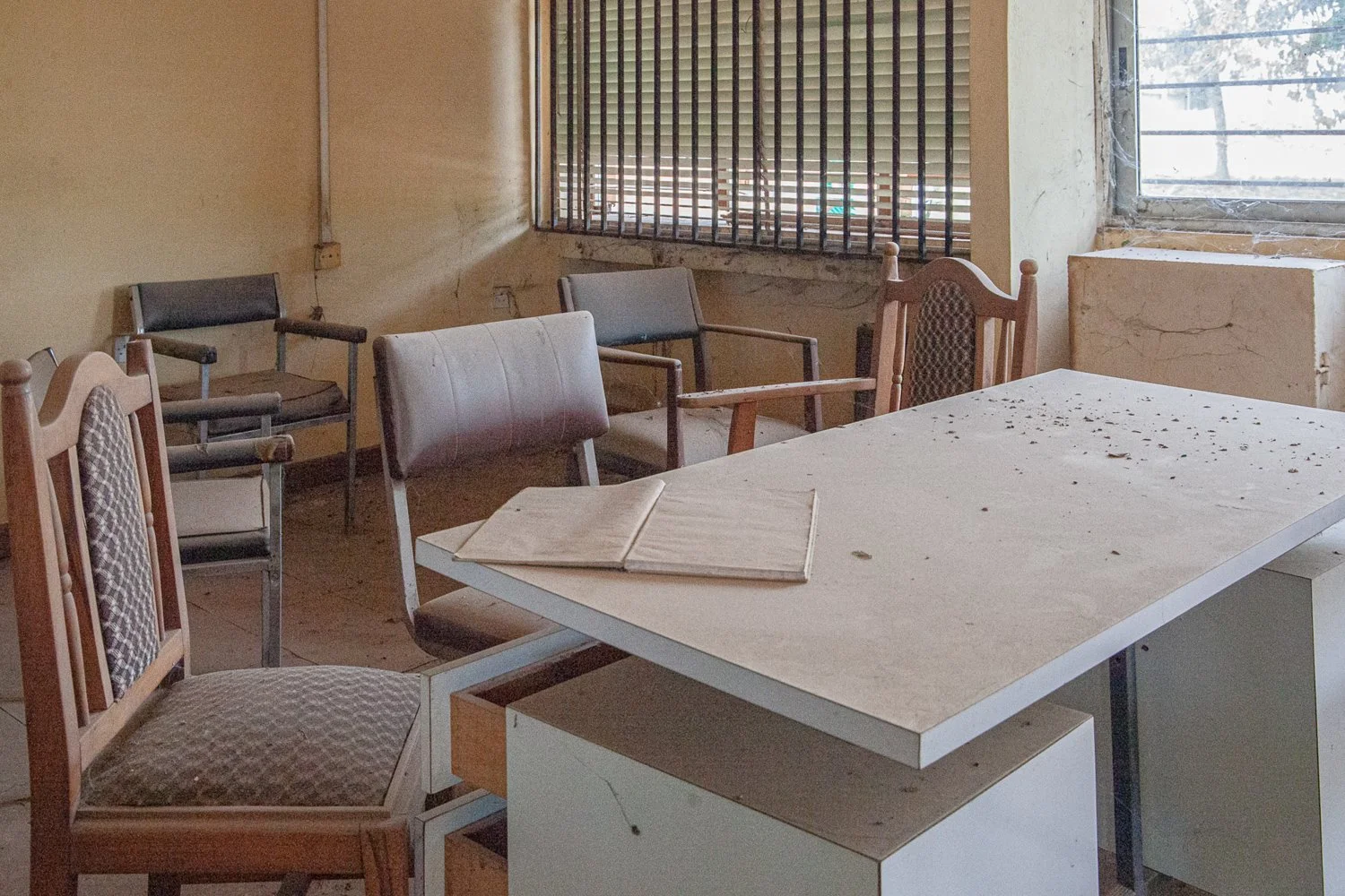 Immaculata- sunrise 8 lab.jpg