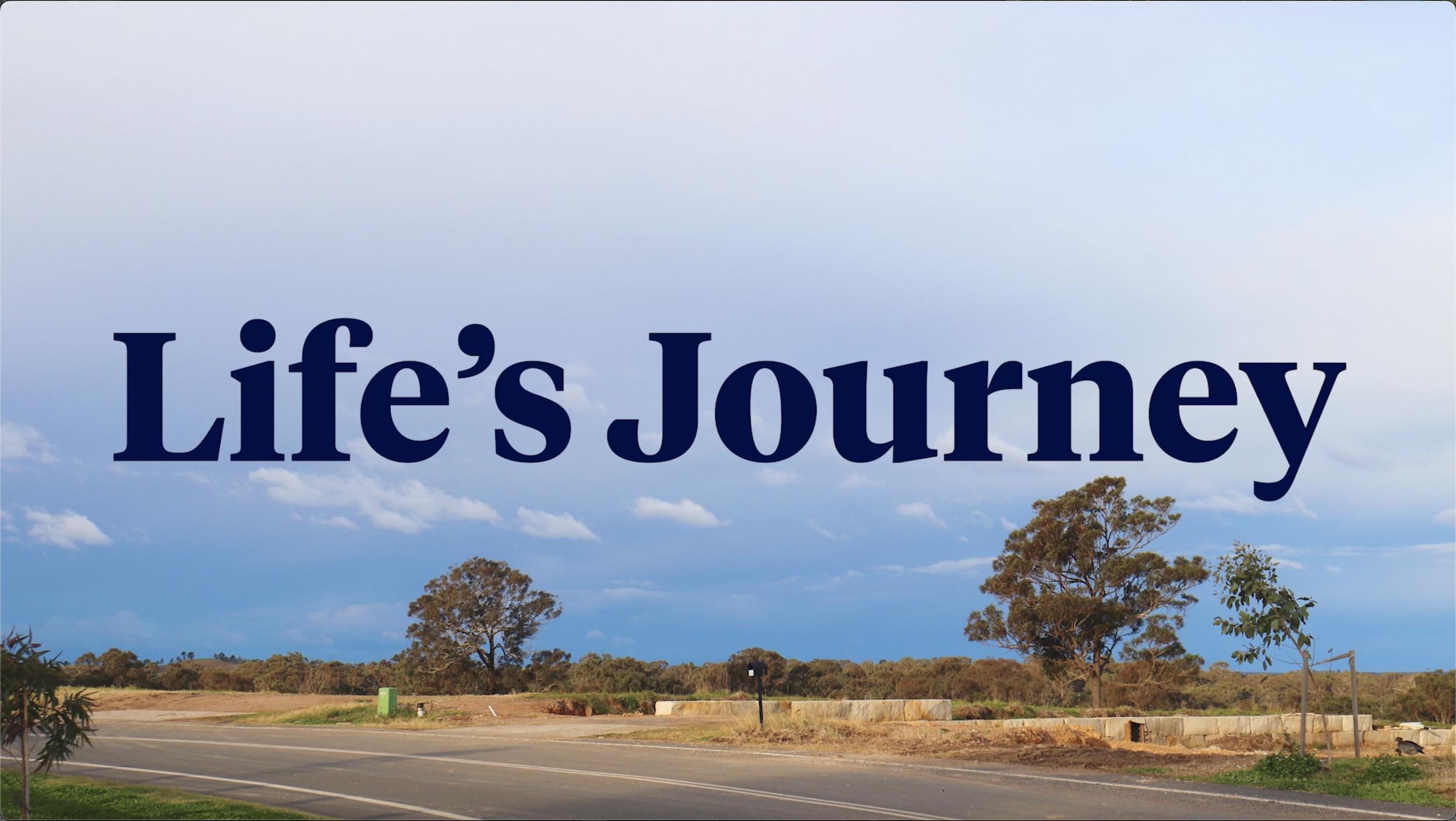 Life's Journey