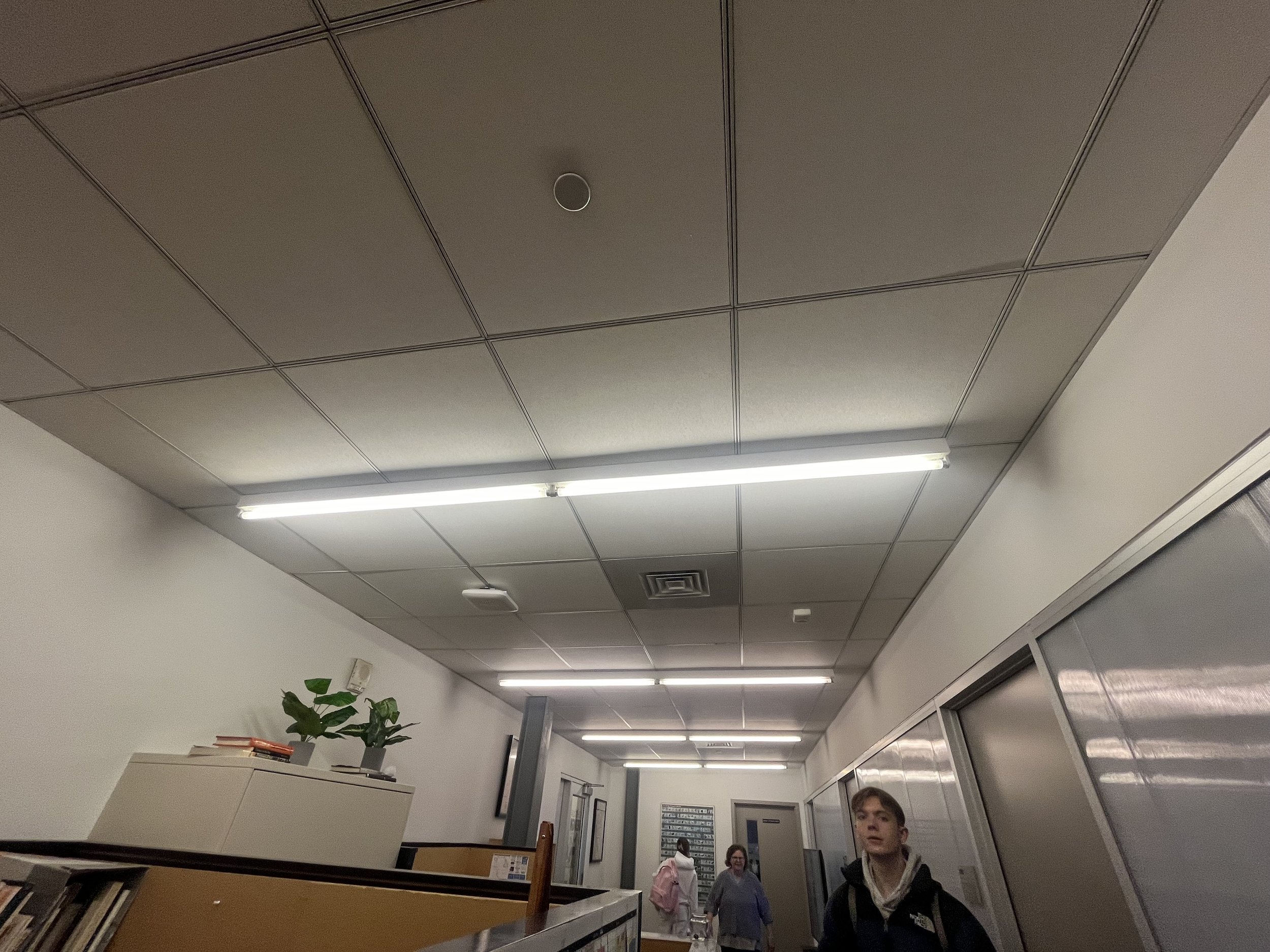 IMG_8615.jpeg