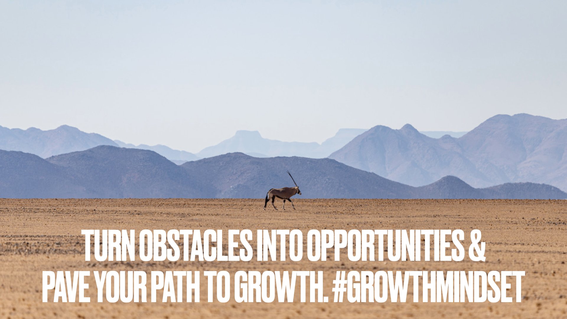 Embracing Challenges as Catalysts for Change
