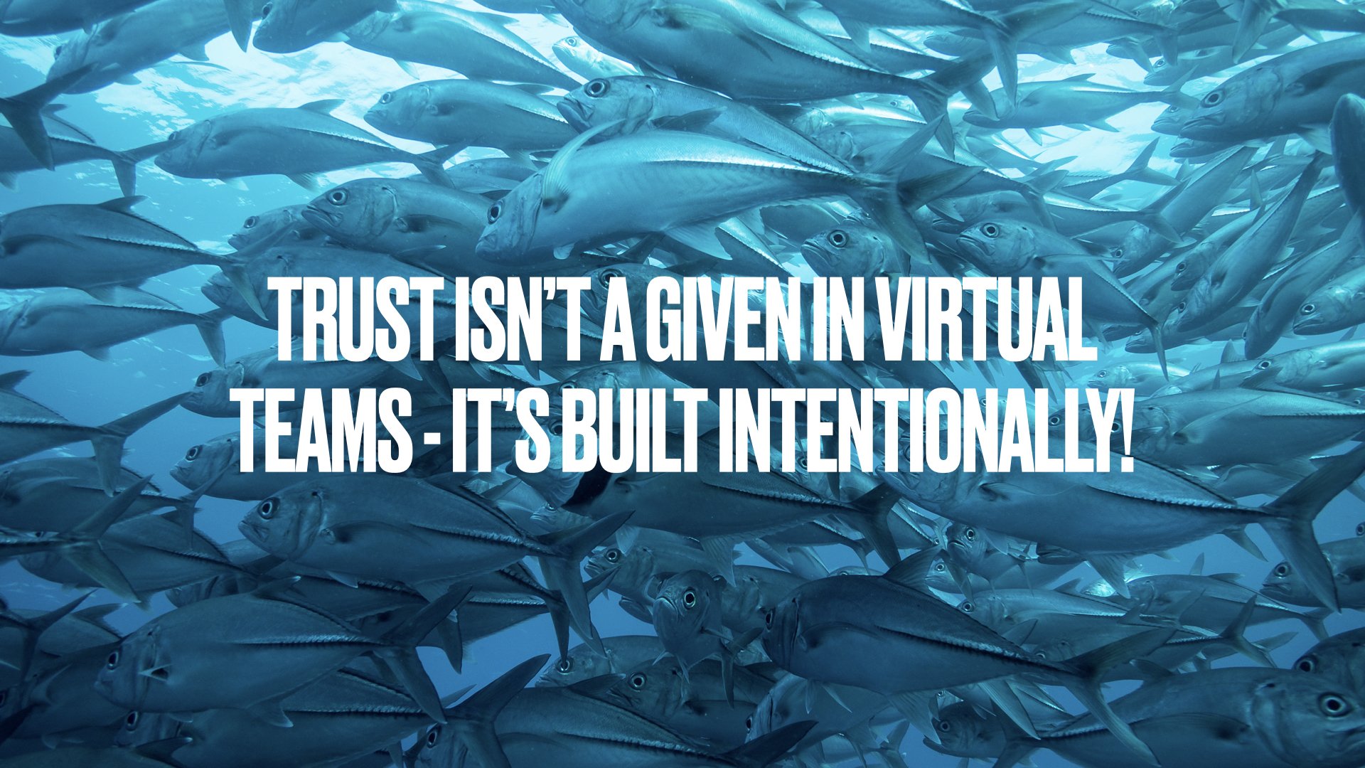 Building Trust in Virtual Teams: A Proven 4-Step Framework