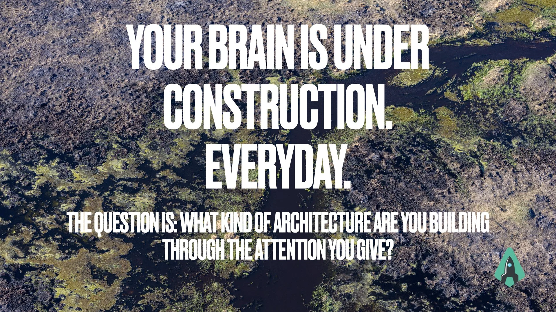 The Leadership Power of Attention: How Focus Shapes Learning and Growth