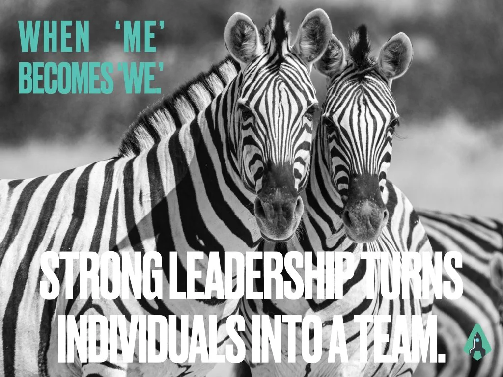 Identity Leadership: Creating a Strong Sense of "We" in Teams