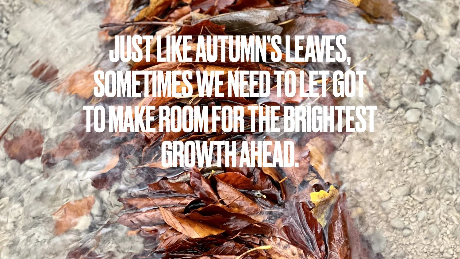 Lessons Form Autumn Autumn Reflections: Embracing Change with Positive Psychology ...