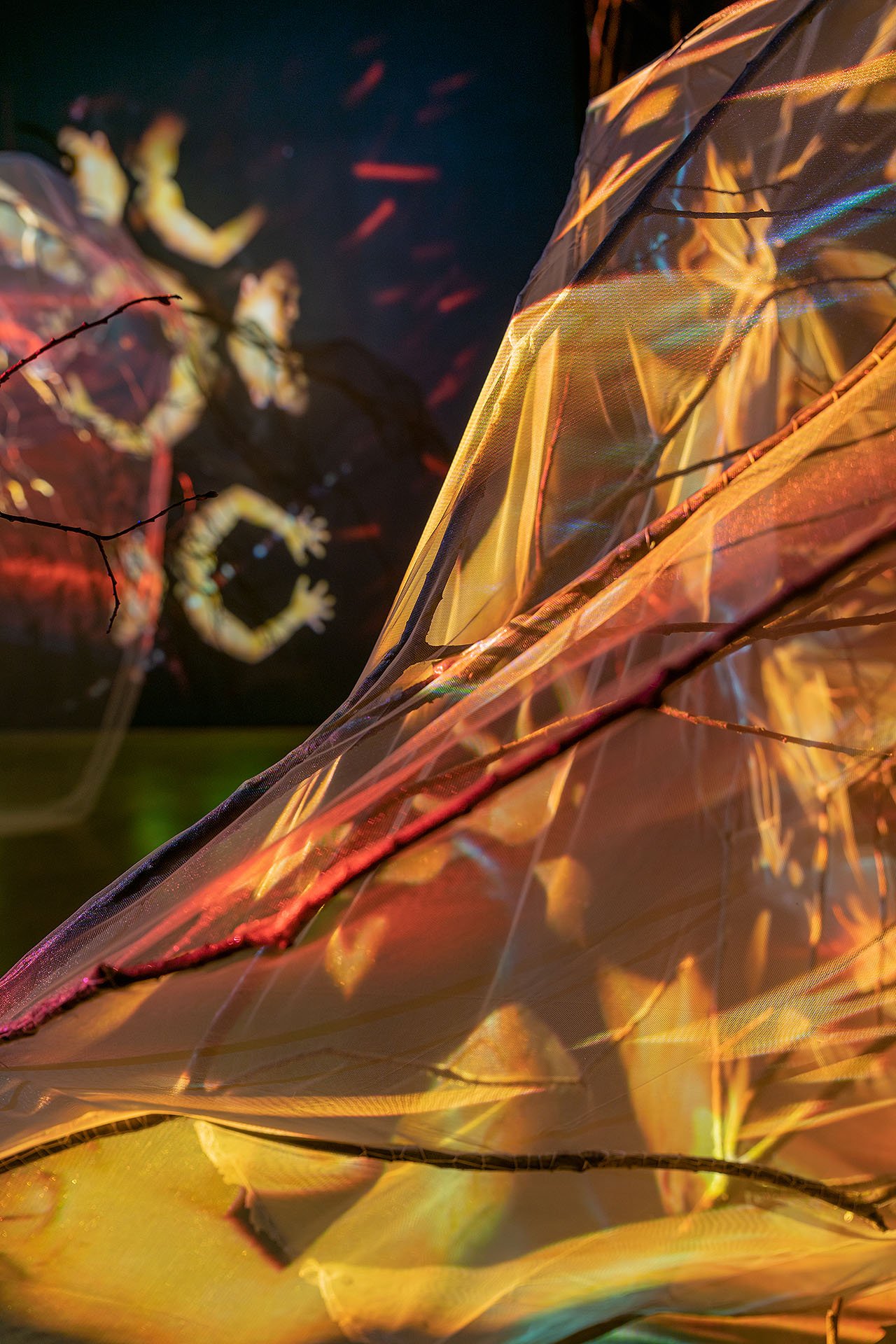 Chrysalis