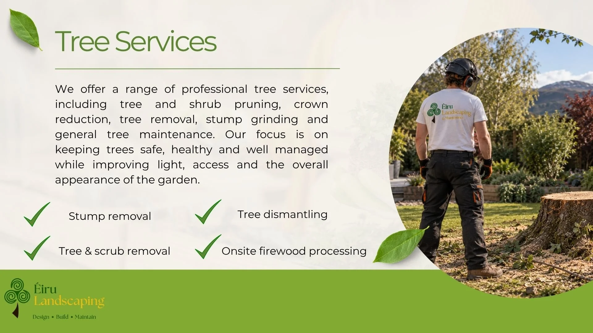 Tree services with description of provided services such as tree removal stump removal tree pruning