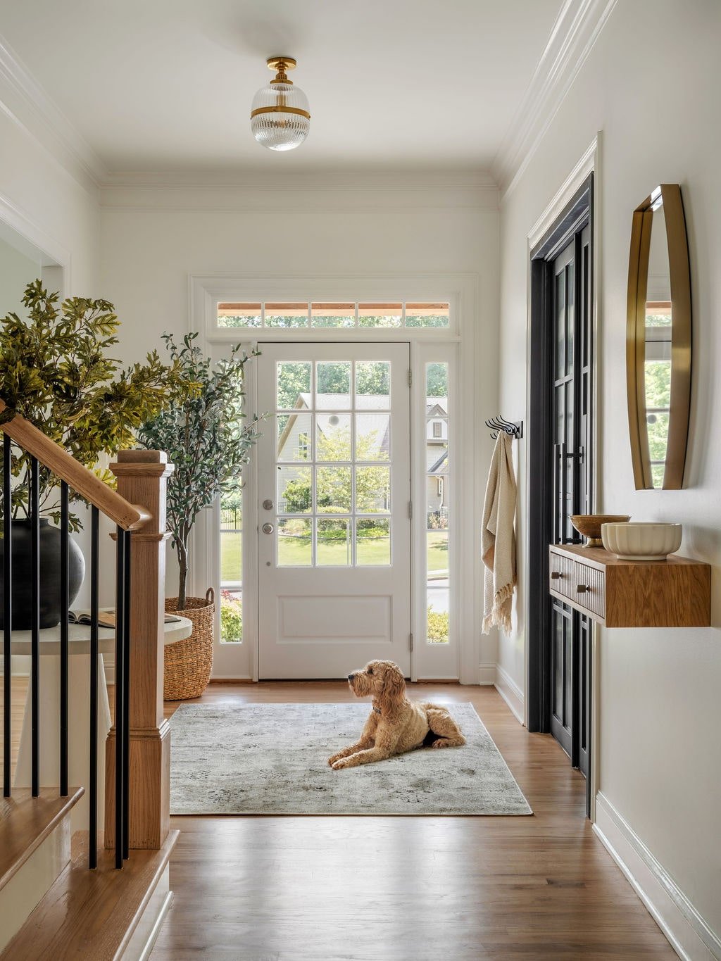 Poodle sitting on hardwood floor in luxury home entry with organic textures