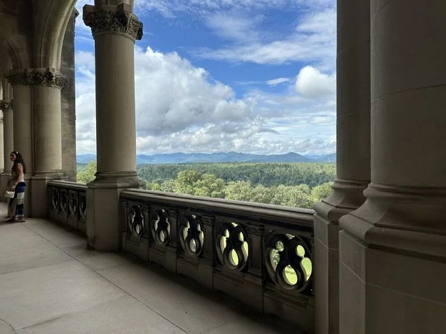 Porch view of Blue Rdige mountains at the Biltmore