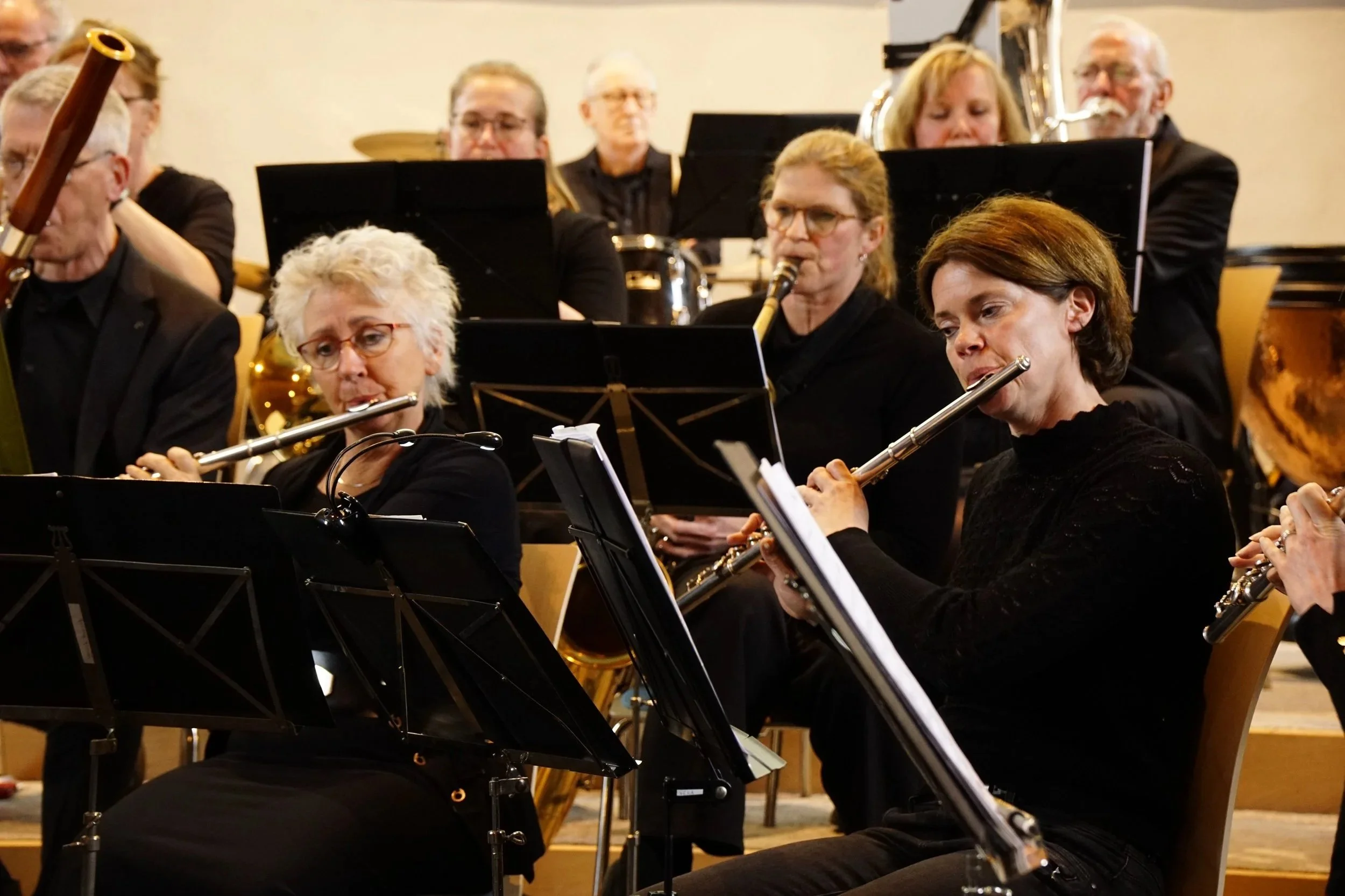 Orkestermuziek uit een groep muzikanten die op blaasinstrumenten speelt, waaronder dwarsfluit, klarinet en hobo, tijdens een concert.