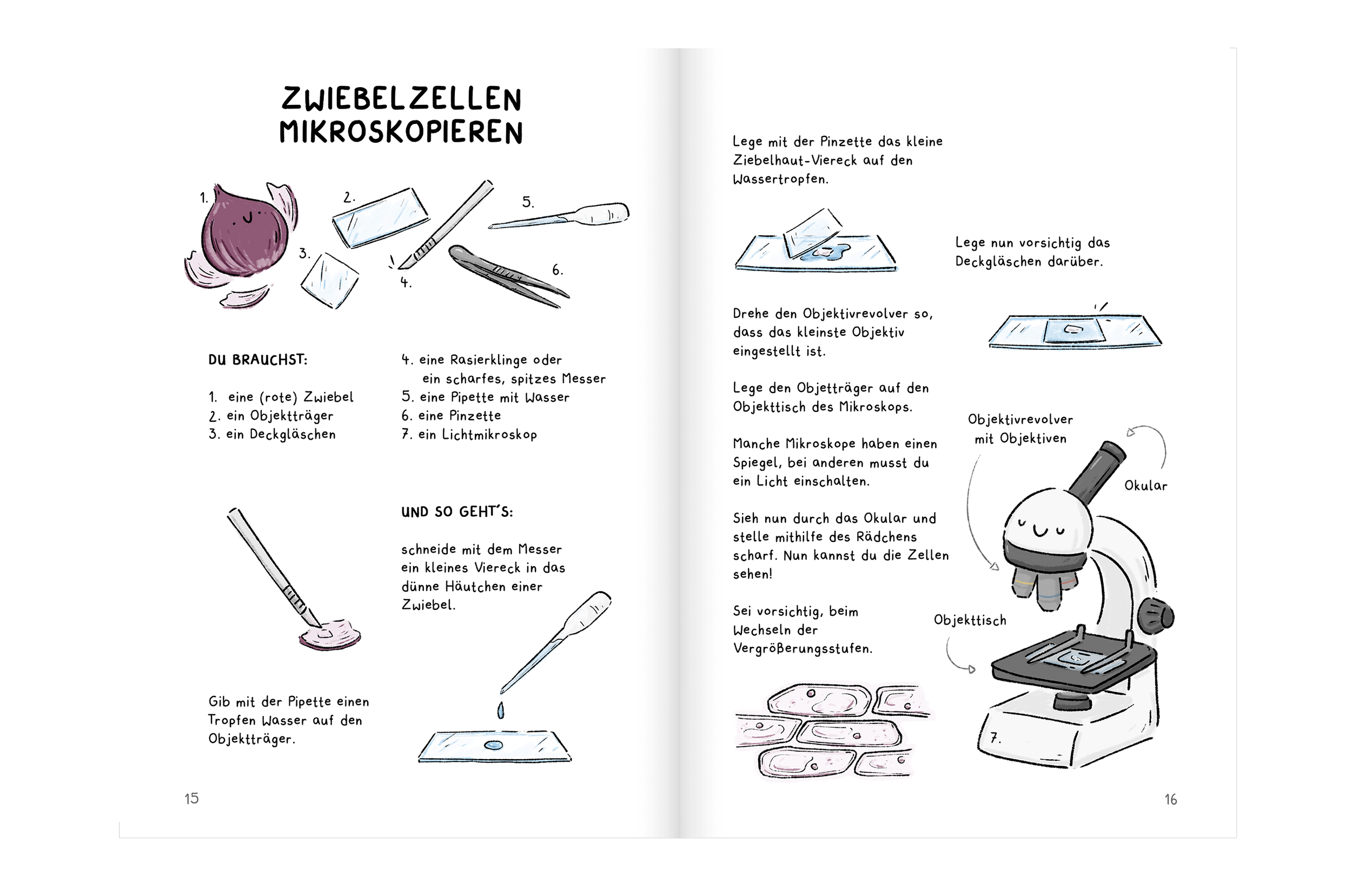Mikroskop Doppelseite 2.png