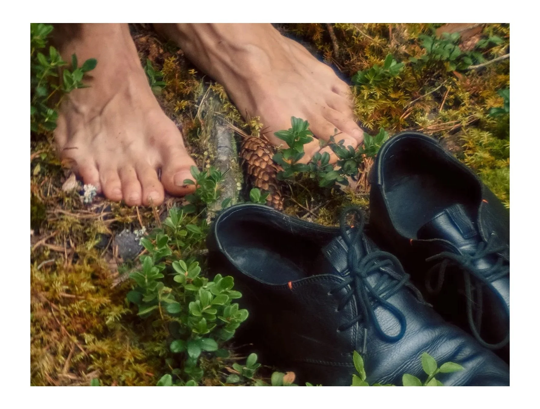 Komandiruotė į gamtą Sanctum centre