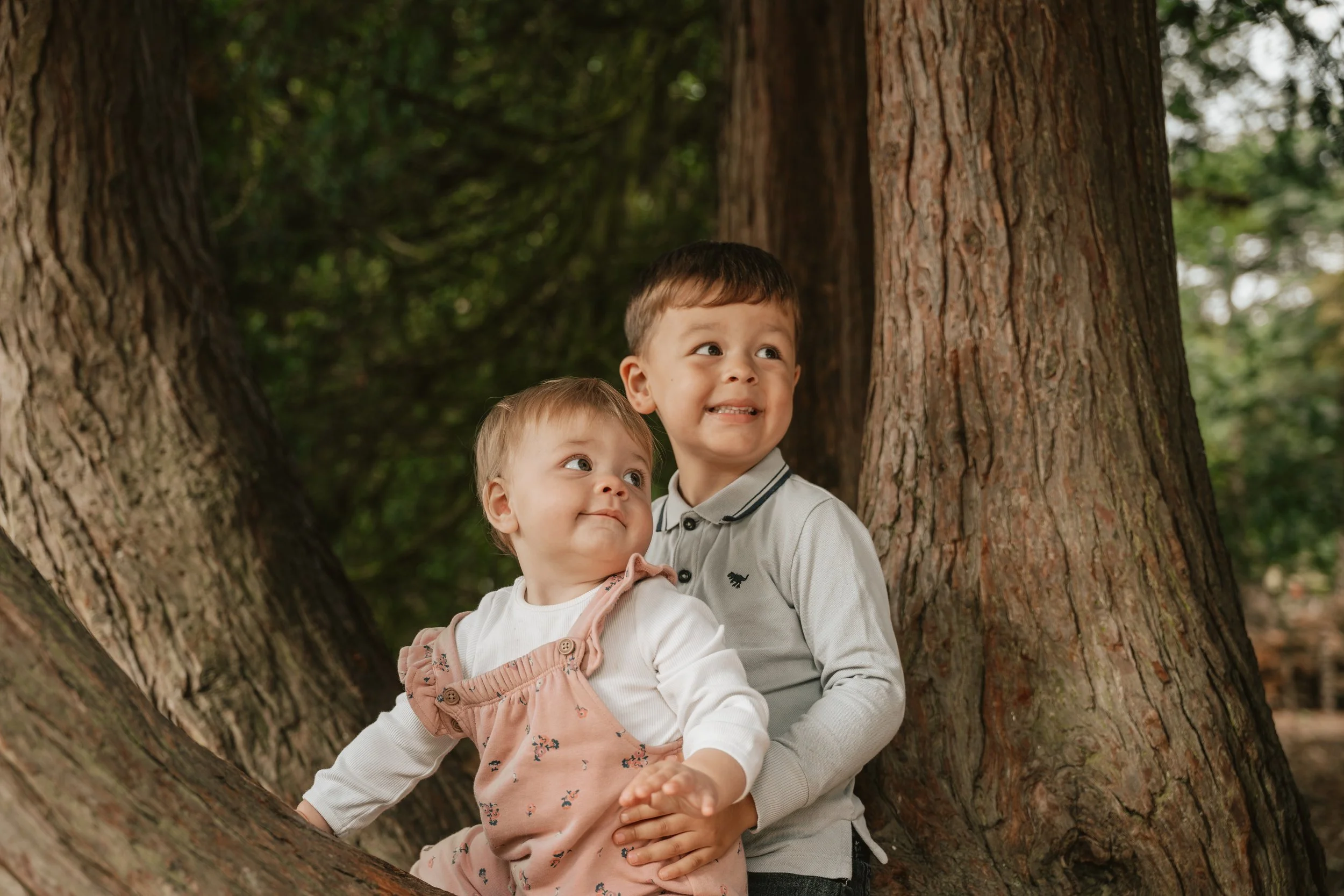 Two young children, a boy and a girl, sitting together inside a tree trunk in a forest, looking curiously and happily at something outside the frame.