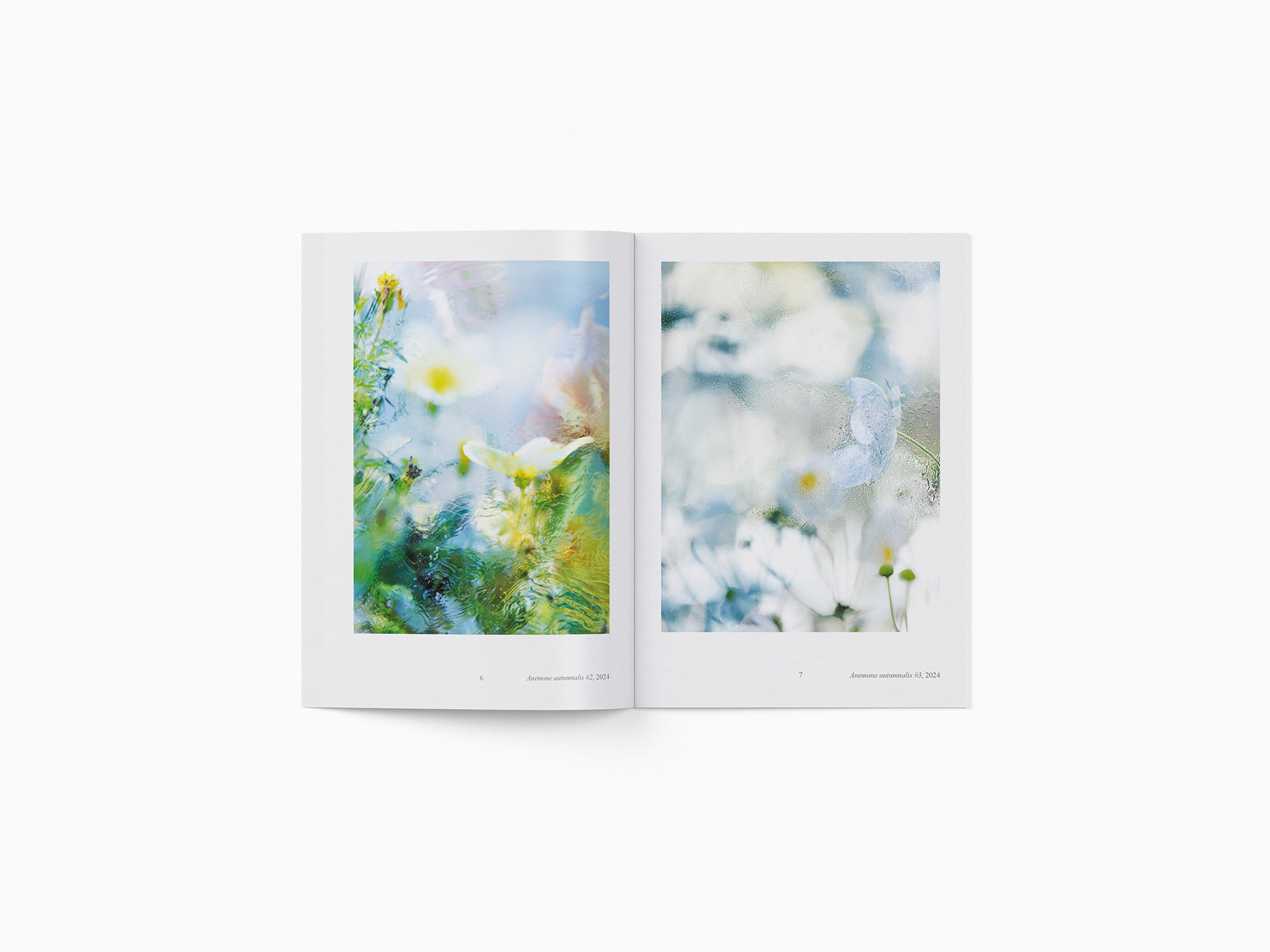 A4_Borchure_Mockup_5b.png