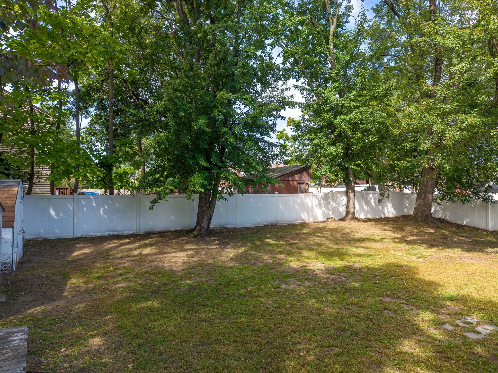 A backyard yard with a white fence, large trees with green leaves, and a small shed and house in the background.