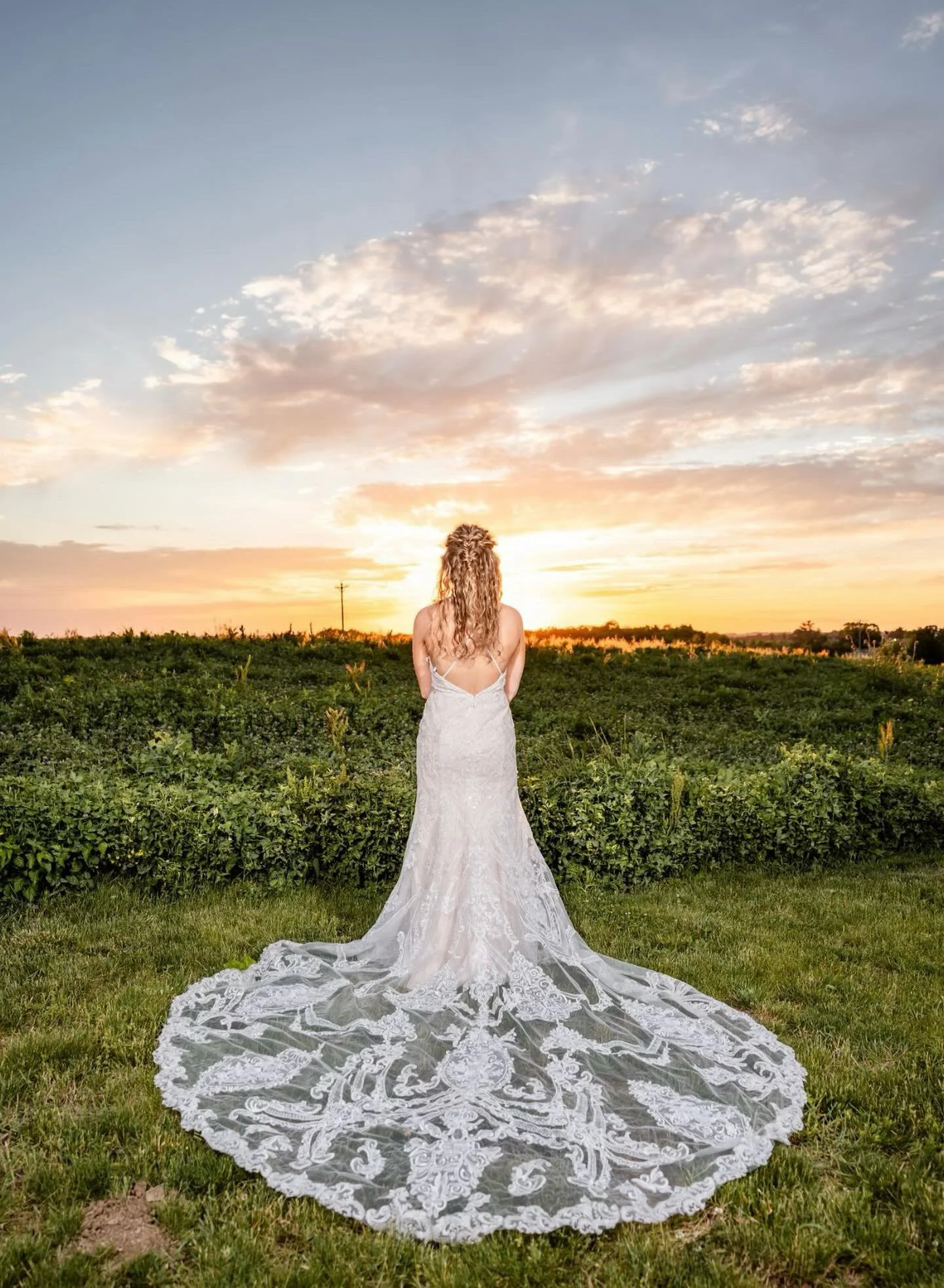Woman in a wedding dress standing outdoors at sunset with a long train on a grassy field.