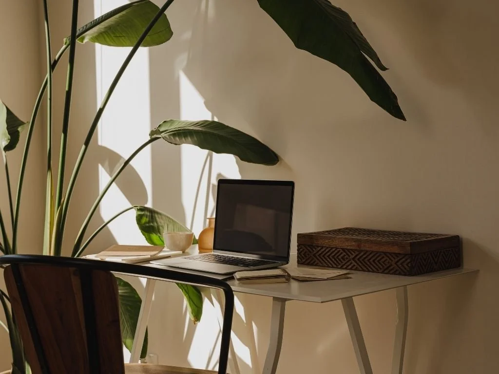 A white desk with a laptop, a closed notebook, a small green bowl, a small vase, and a wooden box, with a large leafy plant next to it in a sunlit room.