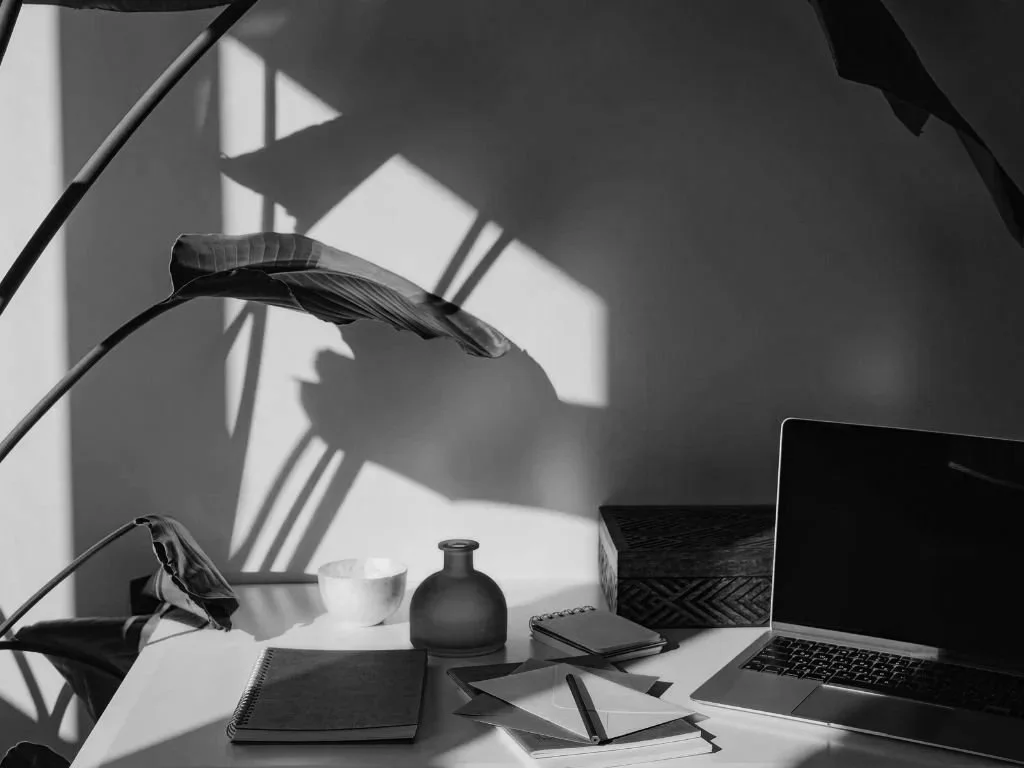 A black and white photo of a desk with a laptop, notebooks, a pen, a jar, and a decorative box, with shadows of large leaves cast on the wall.