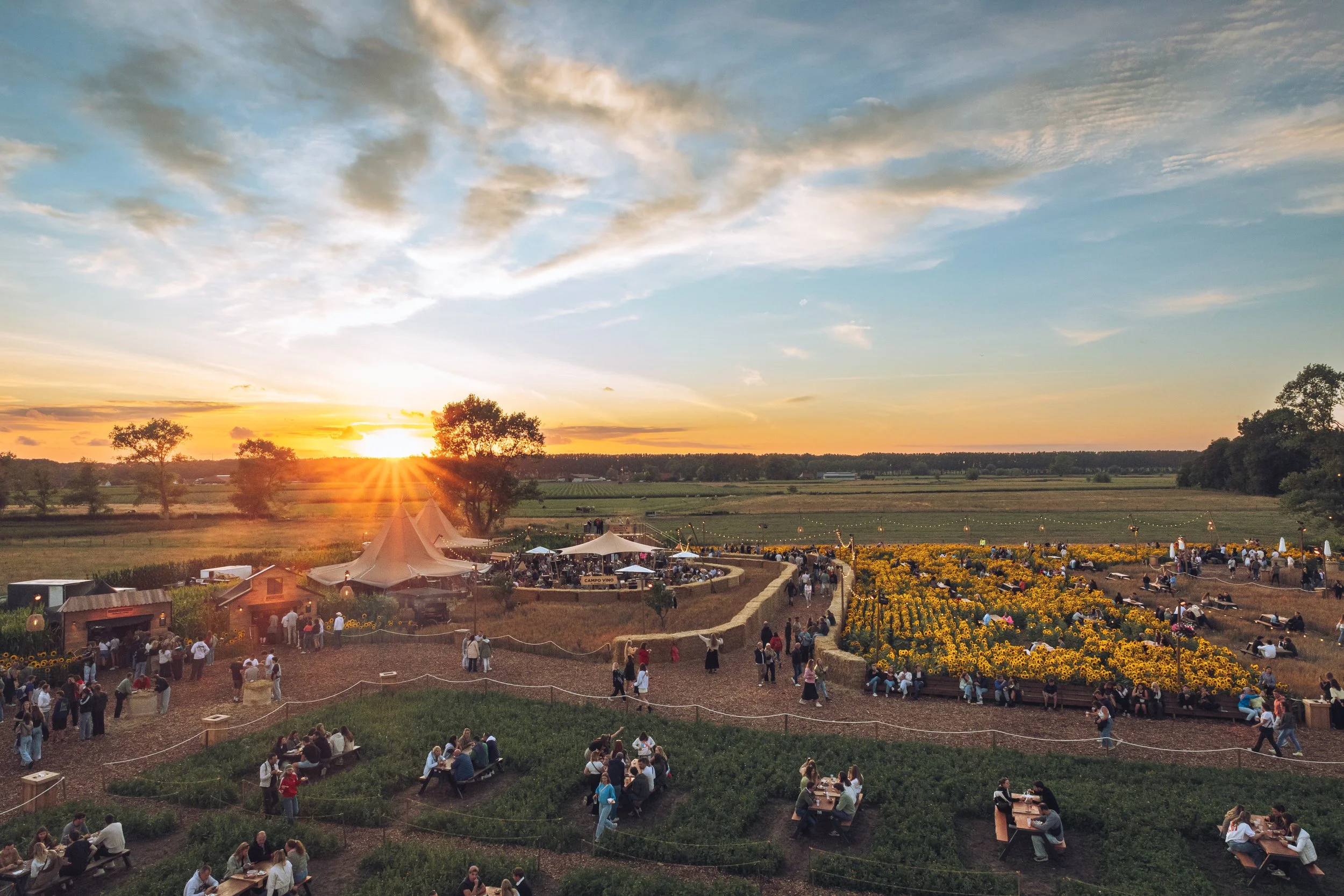 Campo Solar, Damme, 2025