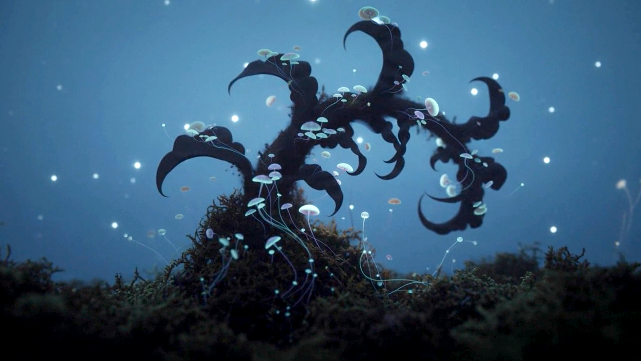 L'Antre Deux Mondes: New Video in Production with Sinia Music &amp; Yavuz Üçer