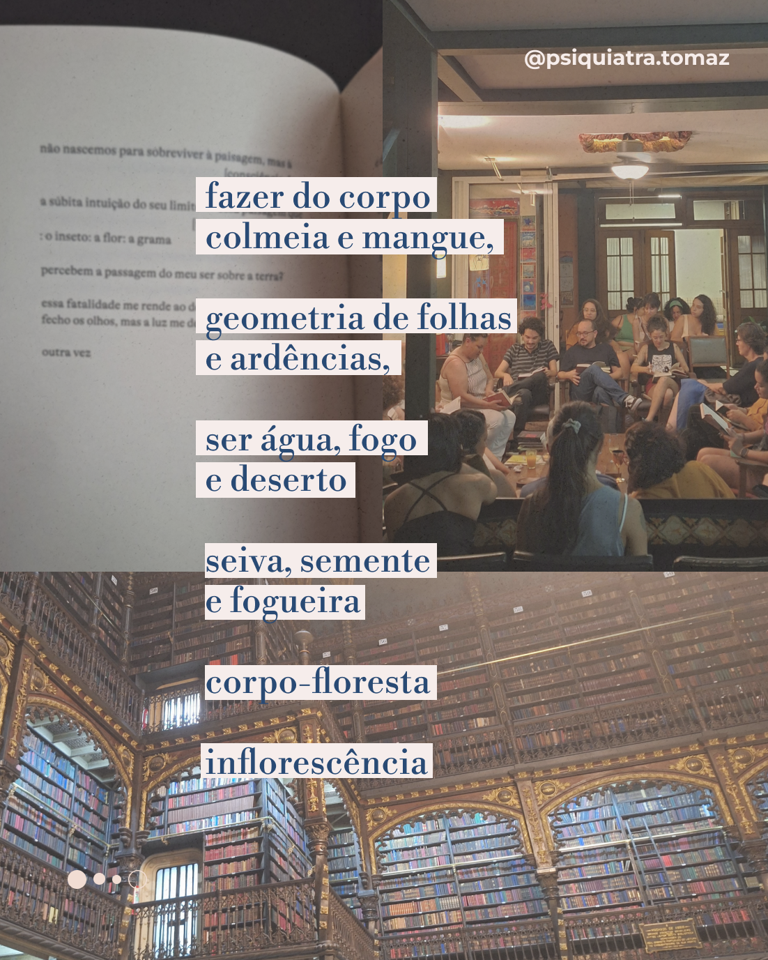 um livro: quimera
