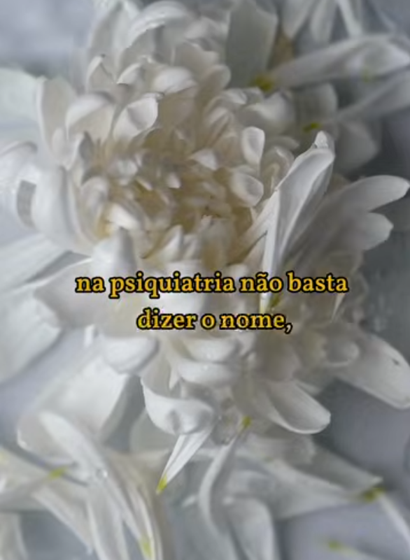 delicadeza ao comunicar 