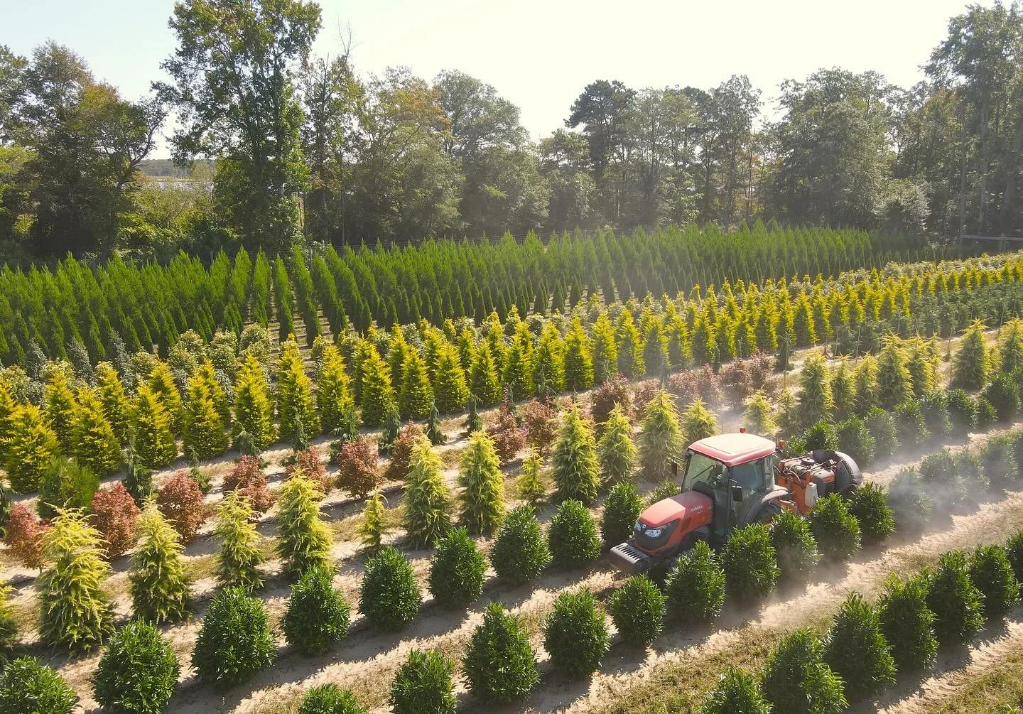 We had the opportunity for our kubota dealer to come out and take some pictures of us working to potentially use in their calendar, gotta love the drone shots!  Thanks to @hooberinc for the pics! #barbersnursery #nurserystock #plants #plantsofinstagr