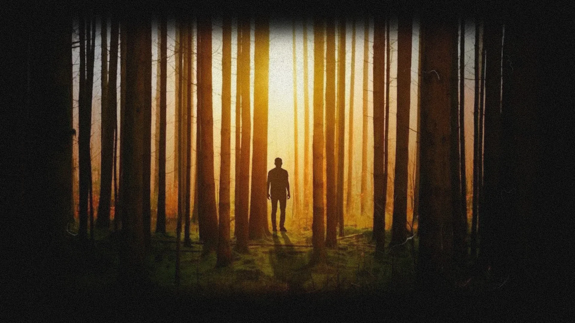 Silhouette of a person standing in a forest with sunlight streaming through tall trees.
