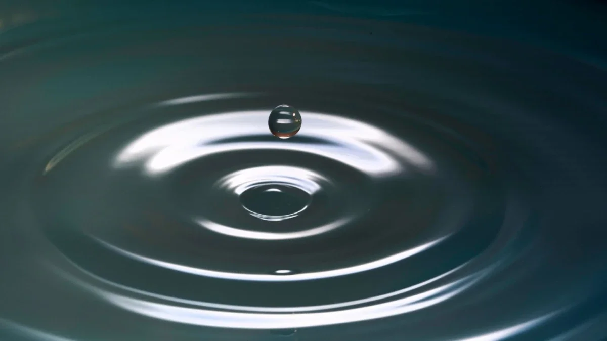 Back to Basics: The Four Foundations of Mindfulness Day Retreat January 10, 2026