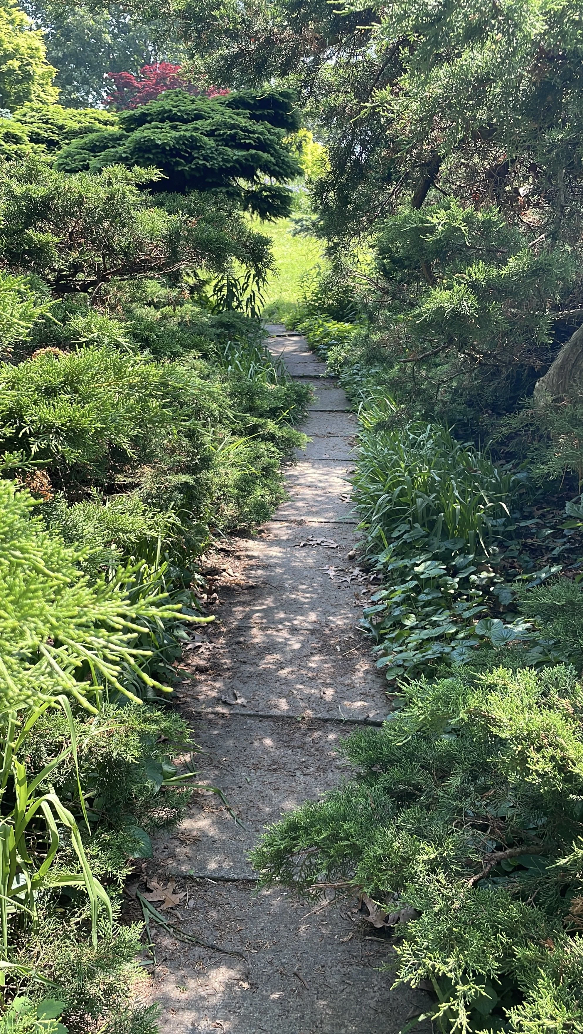 High Park Walk - Earth Walk and Meditation