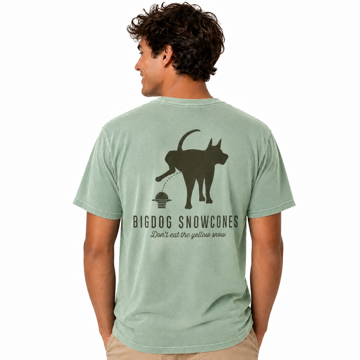 PocketLightGreen.png